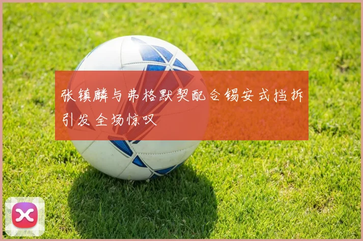 张镇麟与弗格默契配合锡安式挡拆引发全场惊叹